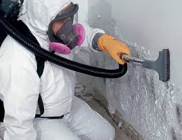 Mold Remediation for Rental Properties in Gregory, TX